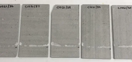 Potential-to-effloresce-1024x398