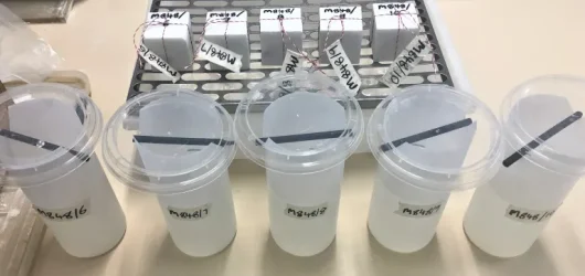 resistance-to-salt-attack-set-up